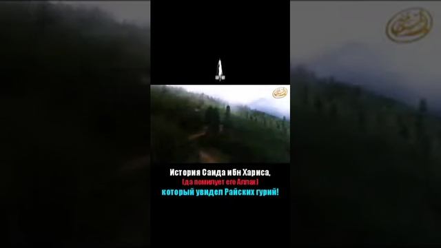 ИСТОРИЯ САИДА ИБН ХАРИСА КОТОРЫЙ УВИДЕЛ РАЙСКИХ ГУРИЙ смотреть онлайн