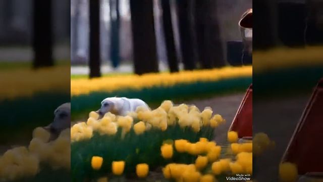Сергей Любавин Мой бог смотреть онлайн