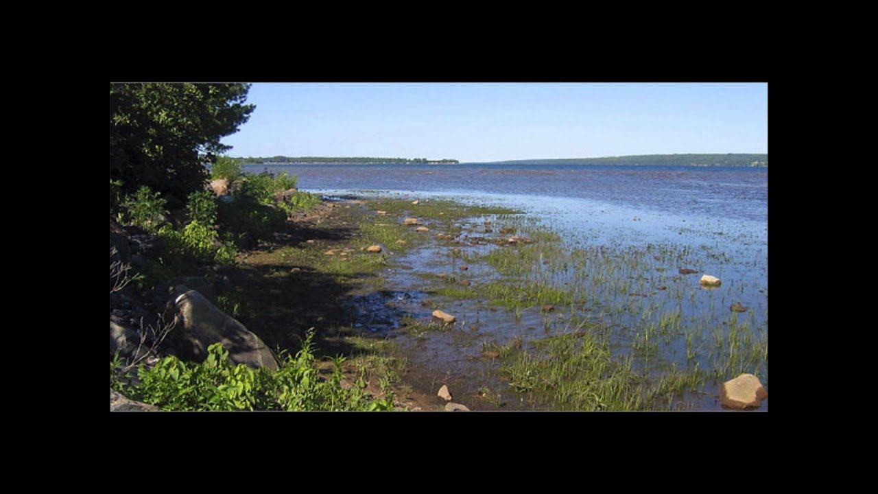 global warming video presentation, music by Barefoot Truth смотреть онлайн