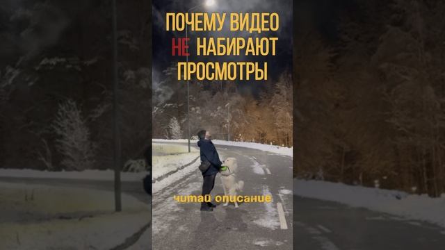 ПОЧЕМУ ВИДЕО НЕ НАБИРАЮТ ПРОСМОТРЫ