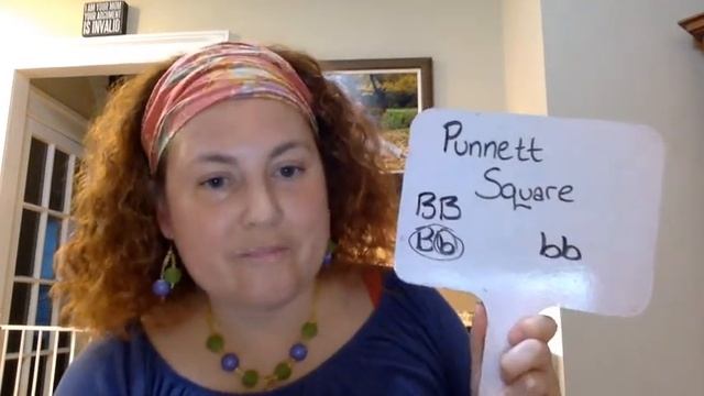 Punnet Square Example: Eye Color смотреть онлайн