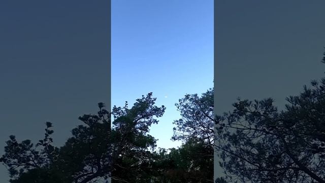 Душа жива  - в  молитве к Творцу  ❤️🔥🤲