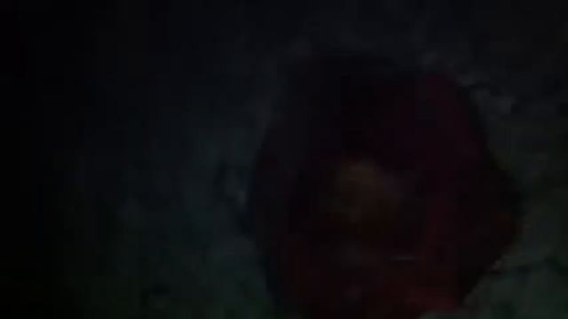 Валюша и Филипп в Коктебеле смотреть онлайн