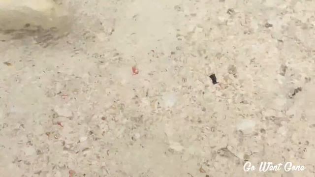 Go Went Gone 2 смотреть онлайн