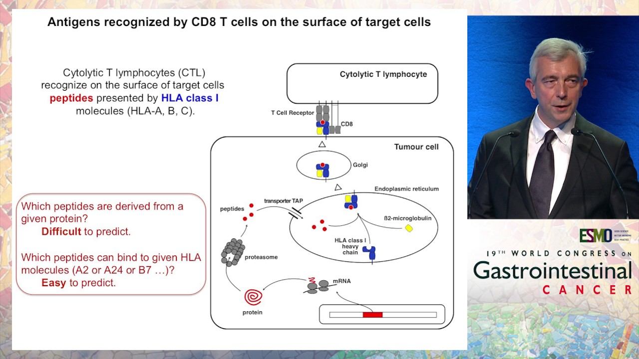 Keynote Lecture 2: Understanding the relevant immune mechanisms in GI cancer смотреть онлайн