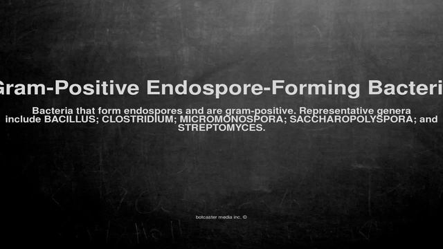 Medical vocabulary: What does Gram-Positive Endospore-Forming Bacteria mean смотреть онлайн