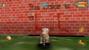 Cat kitten simulator Жуткие пасхалки (Подвал, чёрные силуэты) Cat simulator баги.