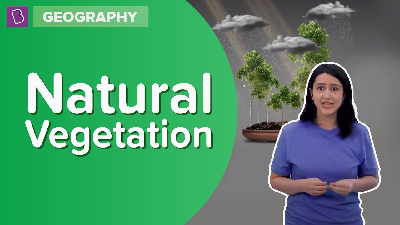 Natural Vegetation | Class 8 - Geography | Learn With BYJU'S смотреть онлайн