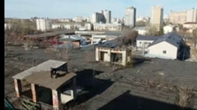 СИМБИОЗ МУХИ И ЧЕЛОВЕКА. поёт Владимир Сидоров-Свет смотреть онлайн