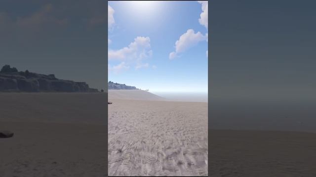 Этот баг просто имба🤩 Tg-RustAndBugs #раст #rust #rustandbugs #glitch