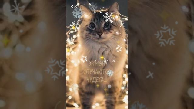 Всем Удачи смотреть онлайн