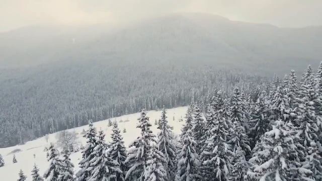 Играется листвой Плутовка-осень смотреть онлайн