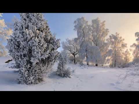 ПЕРЕХОД В ПЯТОЕ ИЗМЕРЕНИЕ (ОТ УМА К РАЗУМУ) смотреть онлайн