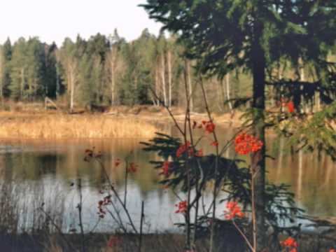 Поэту А.Решетову посвящается смотреть онлайн