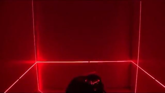 Nível à Laser de Linhas GLL 3-80 c/ Tripe BOSCH смотреть онлайн