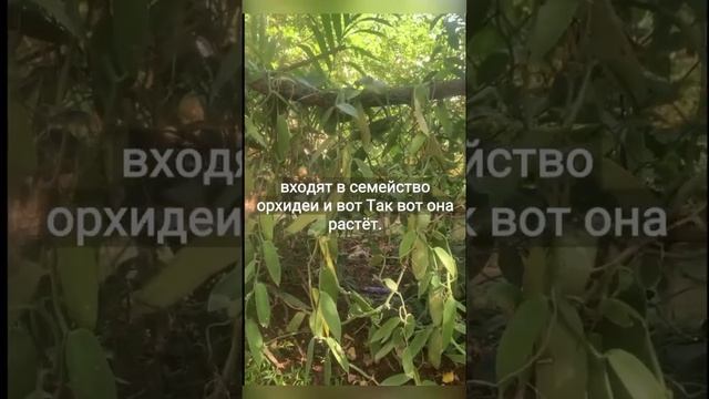 БИОЛОГИЯ 2024. ПРИКОЛ. 1 СЕНТЯБРЯ. ОГЭ и ЕГЭ 2024 смотреть онлайн