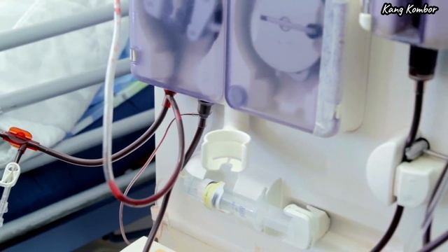 Masya Allah, Inilah 38 Manfaat Seledri Untuk Kesehatan