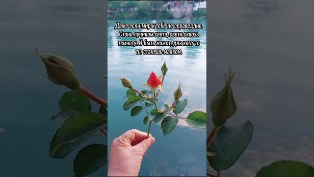 Доброе утро! Благ Господь к душе ищущей Его! Христианское пожелание смотреть онлайн