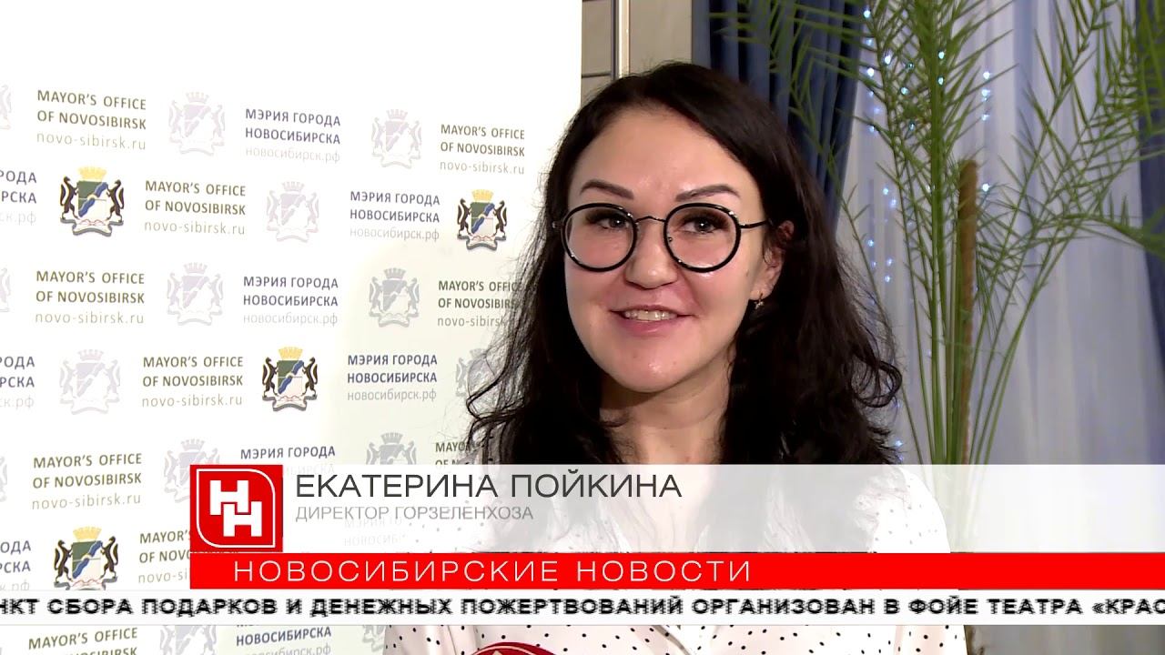 Почти 400 дворов отремонтировали в 2019 году в Новосибирске смотреть онлайн
