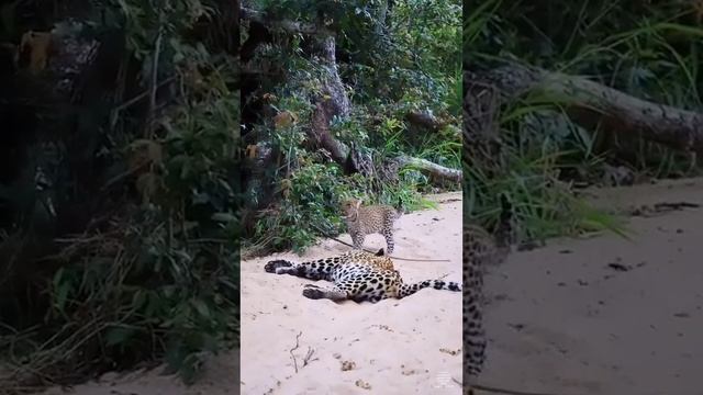 Тяжелые будни матери смотреть онлайн