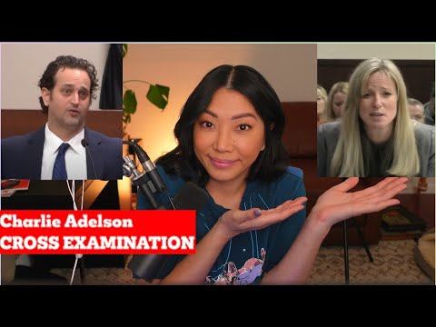 Charlie Adelson gets destroyed by Prosecutor Georgia Cappleman смотреть онлайн