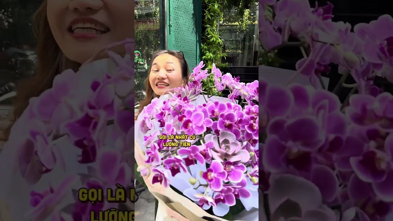 Bó Hoa Sinh Nhật Từ Lan Hồ Điệp Nhí Trông Đẹp Không? смотреть онлайн