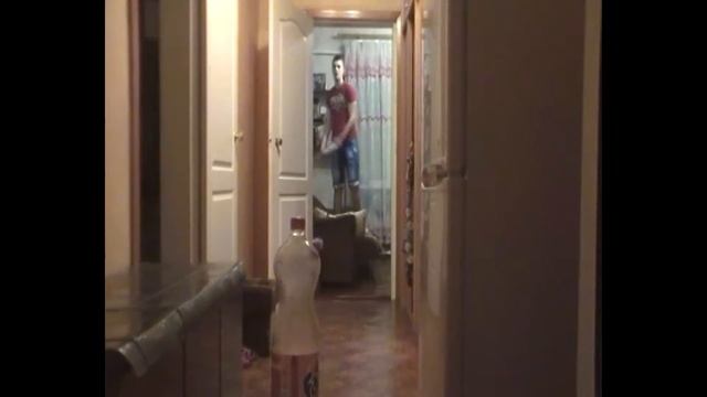 DISCRAFT|Фризби|Точность 99lvl Я смог!!! смотреть онлайн
