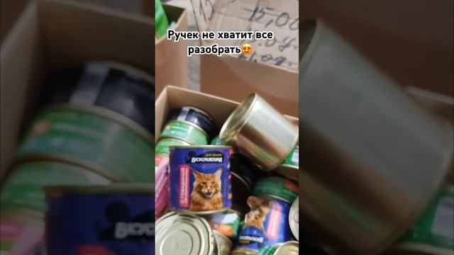 Спасибо подписчикам!!!!#приютнекрасовка #помощьприюту