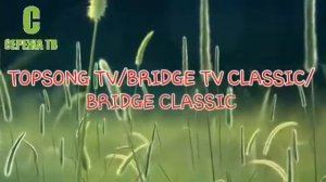 Выпуск 17. Эволюция Логотипов BRIDGE MEDIA Часть 2