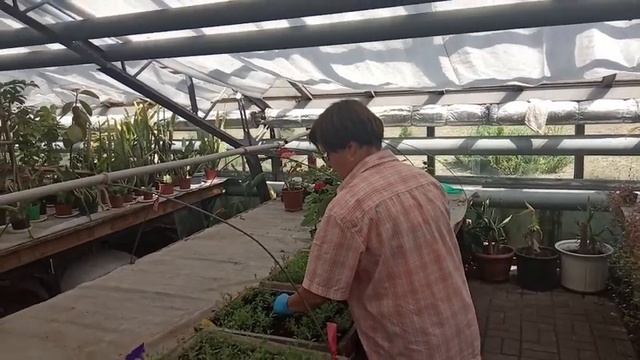 Что от вас скрывает Иван Русских