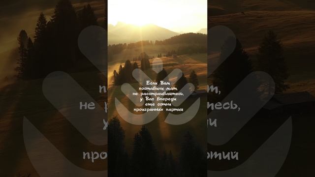 Если Вам поставили мат, не расстраивайтесь, у Вас впереди ещё сотни проигранных партий смотреть онлайн
