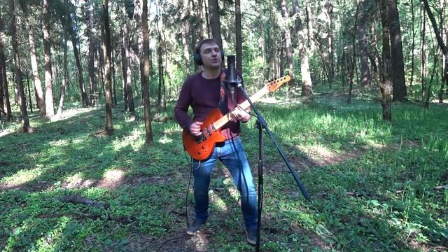 Павел Гаврилин - Впусти меня, немая мгла... (демо, LIVE) смотреть онлайн