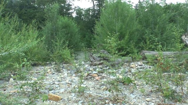 Рыбалка 07,2024