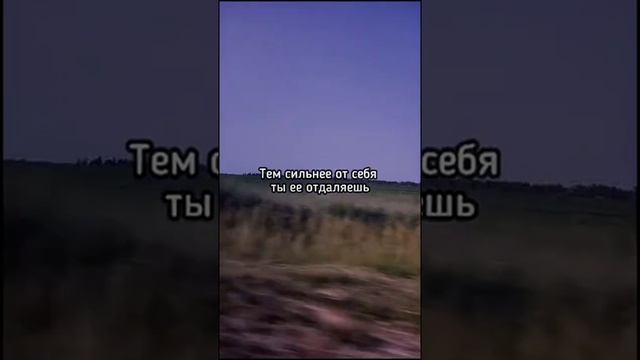 Цитата смотреть онлайн