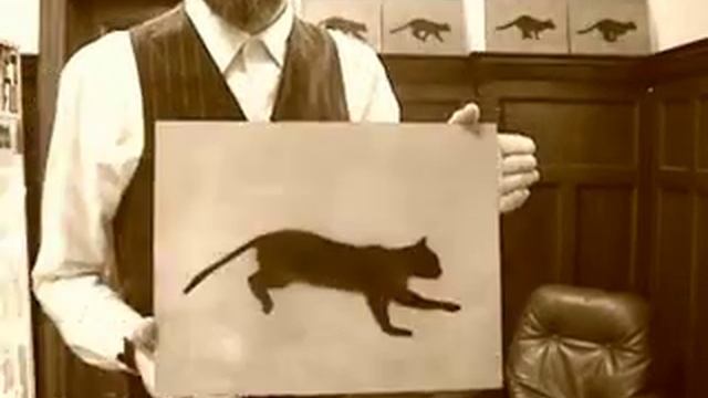 I used to be crazy but now i'm a cat.mp4 смотреть онлайн