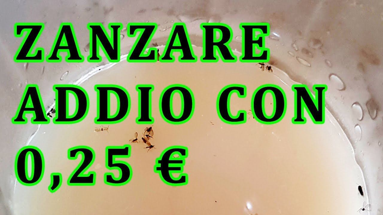 ANTI ZANZARE FAI DA TE 0.25 CENT - RIMEDIO ZANZARE NATURALE | FoodVlogger смотреть онлайн
