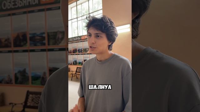 тгк: Whatthevasyaa