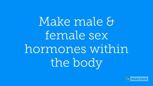 GNC DHEA Review | Benefits Of GNC DHEA