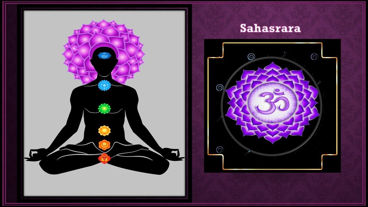 SC25: Suddha Chaitanya Sadhana - ShadChakras - Sahasrara смотреть онлайн