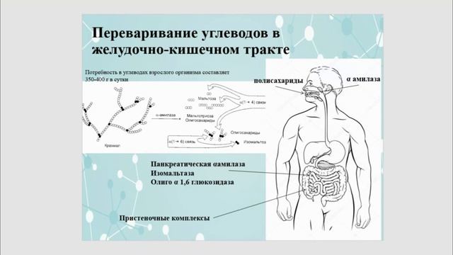 Обмен веществ и энергии. Другова Е.С. смотреть онлайн