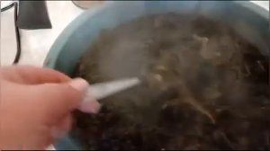 АРМЯНСКИЙ  СУП  АВЕЛУК / АРМЯНСКИЙ  СУП  ИЗ  КОНСКОГО  ЩАВЕЛЯ