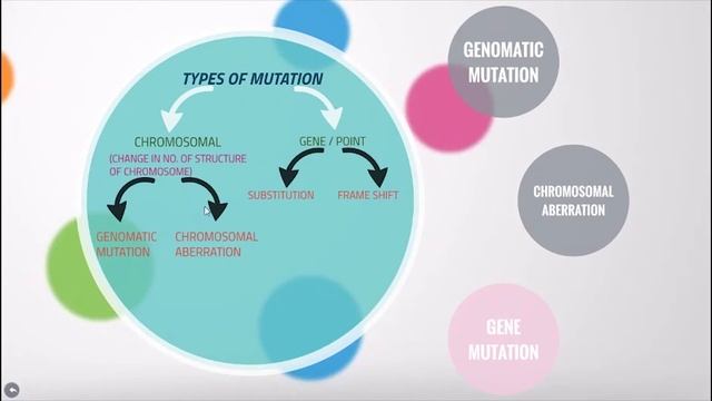Biology -- Mutation смотреть онлайн