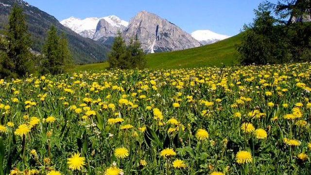 BONA KIMO Beethoven Symphony No 9.wmv смотреть онлайн