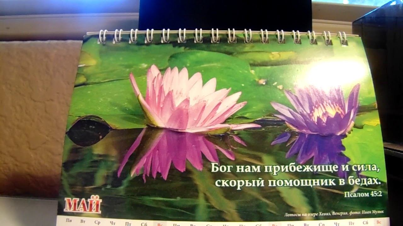 Ответы на вопросы Май 2020 Даниэль Нистар смотреть онлайн