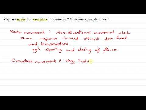 What are nastic and curvature movements Give one example of each смотреть онлайн