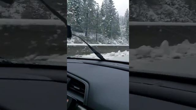 Едем на снег в солнечной Калифорнии!!! И мысли для будущих иммигрантов. смотреть онлайн