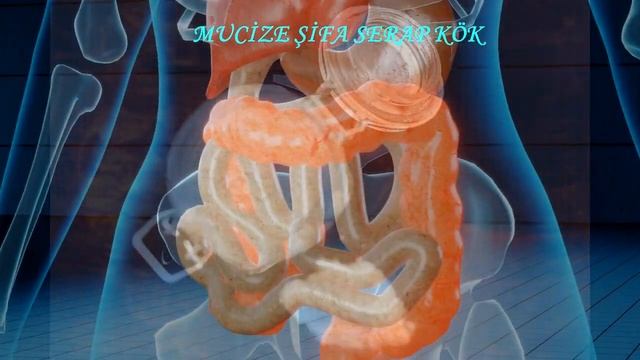 KANSERDEN ZAYIFLAMAYA KADAR ETKİLİ ŞİFA MUCİZESİ