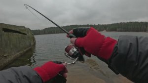 Эти окуни гнули спиннинг в дугу