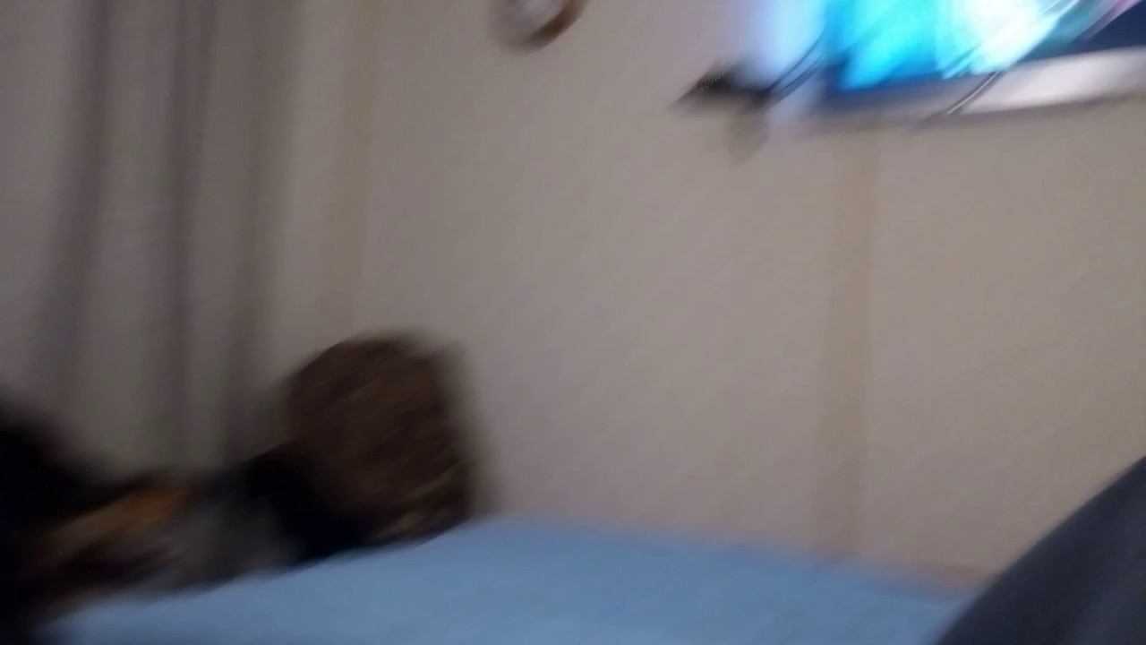 Ника смотрит телевизор смотреть онлайн