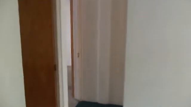 RENTO DEPARTAMENTO CARRILLO PUERTO 692 AMPL TORRE BLANCA смотреть онлайн
